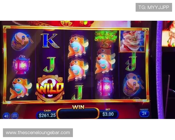 2024年最新老虎机游戏下载安装推荐及详细操作流程让你轻松开启精彩游戏体验