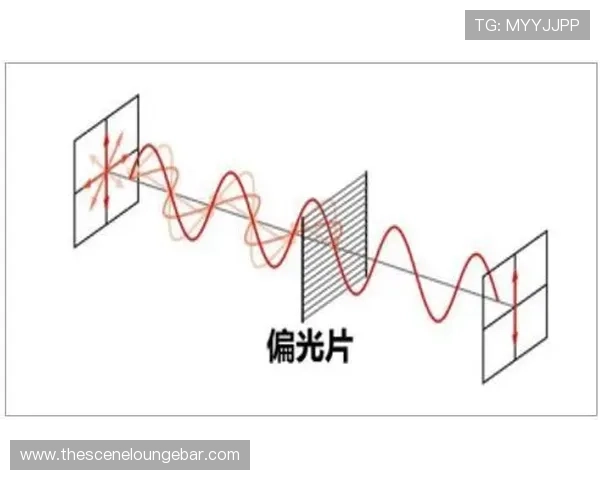 仿真老虎机在娱乐行业中的应用现状与未来发展趋势分析
