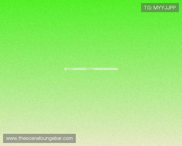 亚博YaBo真人国际全面解析2026世界杯赛事最新动态与精彩瞬间报道